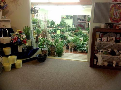 Plant Room - REAL ESTATE AUCTION, Crossroads Flowers